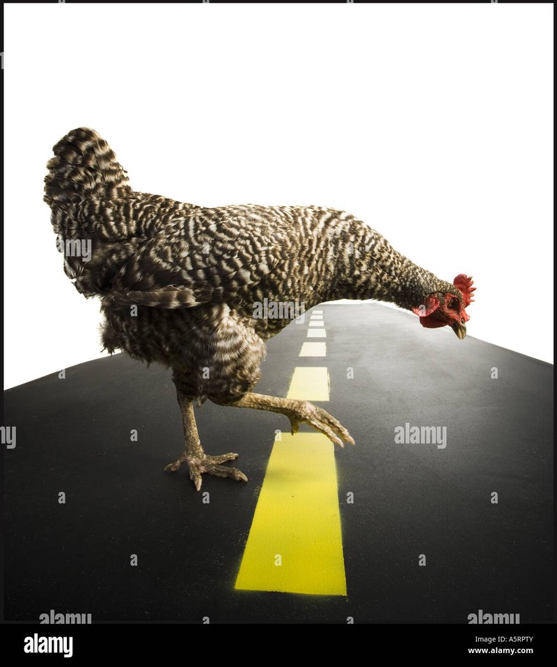 Descubre el Misterio de la Carretera del Pollo en Juegos en Línea en España - overview