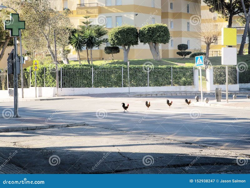 Image: Descubre el secreto detrás del juego de azar más popular en Chicken Road España Image: Descubre el secreto detrás del juego de azar más popular en Chicken Road España